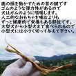 画像2: 鹿の首にあるゴムの様な腱を燻製で仕上げてジャーキーにしました　長野県阿智村産 塩調味料不使用 ニホンジカ100％ (2)