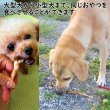 画像5: 鹿の首にあるゴムの様な腱を燻製で仕上げてジャーキーにしました　長野県阿智村産 塩調味料不使用 ニホンジカ100％ (5)