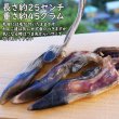 画像4: 鹿のひづめを有効利用してわんこが大好きな食べても平気なおもちゃを作りました　長野県阿智村産 塩調味料不使用 ニホンジカ100％ (4)