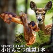 画像1: 旨味をぎゅっと閉じ込めた、犬用燻製鹿上腕骨（げんこつ）小サイズ1本　長野県阿智村産 (1)