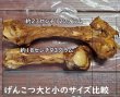 画像5: 旨味をぎゅっと閉じ込めた、犬用燻製鹿上腕骨（げんこつ）小サイズ1本　長野県阿智村産 (5)