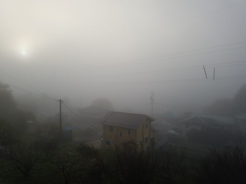 最近、朝霧