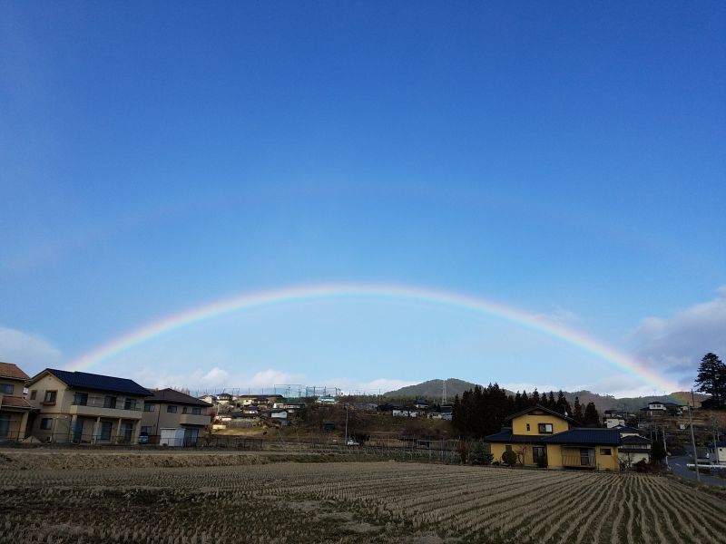 綺麗な虹が出た